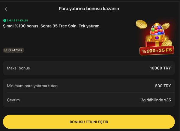 1King bonusu para yatırma detay ekranı, %100 bonus ve 35 free spin