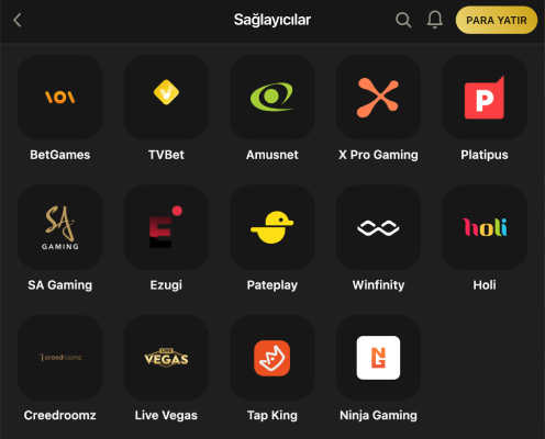 1King Slot uygulamasında Sağlayıcılar ekranından bir kısım sağlayıcı örneği